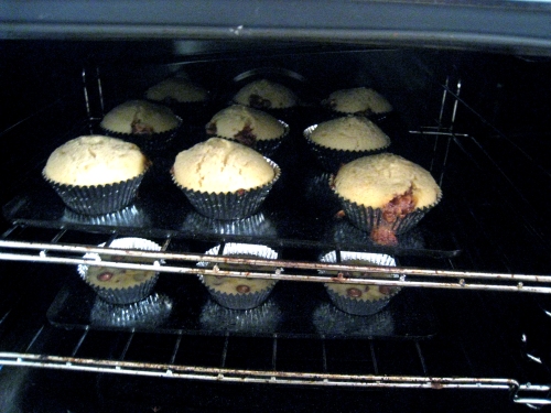 baskin in the oven