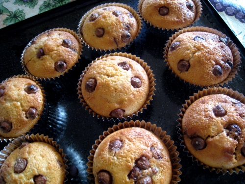 Choc Chip Muffins fresh from the oven
